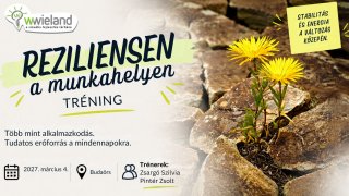 Reziliensen a munkahelyen